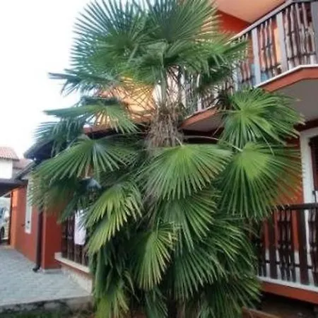 Apartmán Grosse In Novigrad Mit Schoenem Garten By Interhome Novigrad Istria